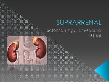 SUPRARRENAL