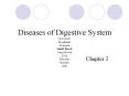 Diseases of Digestive System Oral cavity Esophagus Stomach Small Bowel Large Bowel Liver Pancreas Rectum Anus PowerPoint PPT Presentation