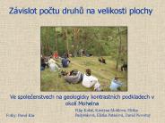 Prezentace aplikace PowerPoint