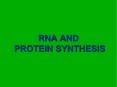 RNA AND PROTEIN SYNTHESIS PowerPoint PPT Presentation