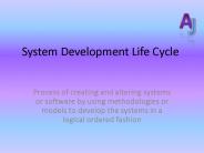System Development Life Cycle