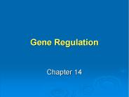 Gene Regulation