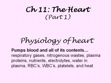 Ch 11: The Heart (Part 1)