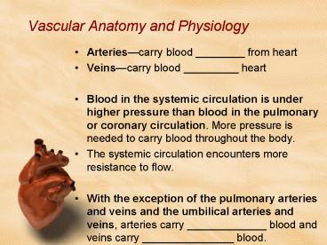 Vascular Anatomy and Physiology