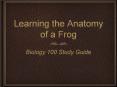 Learning the Anatomy of a Frog PowerPoint PPT Presentation