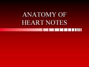 ANATOMY%20OF%20HEART%20NOTES