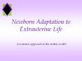 Newborn Adaptation to Extrauterine Life PowerPoint PPT Presentation