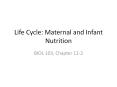 Life%20Cycle:%20Maternal%20and%20Infant%20Nutrition PowerPoint PPT Presentation