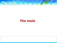The mole