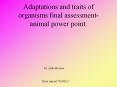 Adaptations and traits of organisms final assessment-animal power point. PowerPoint PPT Presentation
