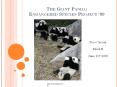 The%20Giant%20Panda:%20Endangered%20Species%20Project%20 PowerPoint PPT Presentation