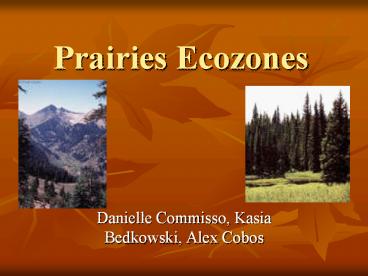 Prairies Ecozones