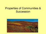 Properties of Communities