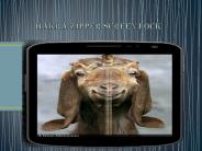 Bakra Zipper Screen Lock 2015