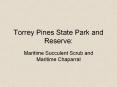 Torrey Pines State Park and Reserve: PowerPoint PPT Presentation