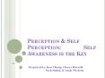Perception PowerPoint PPT Presentation