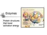 Enzymes