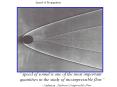 Speed of Propagation PowerPoint PPT Presentation