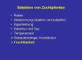 Selektion von Zuchtpferden PowerPoint PPT Presentation