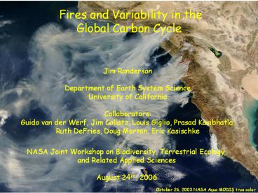 Fires and Variability in the Global Carbon Cycle
