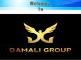 Damali Group – A Renowned Digital marketing Organization PowerPoint PPT Presentation