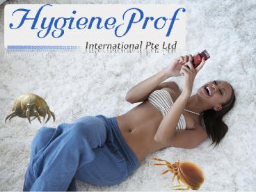 Dry Carpet Cleaning Service