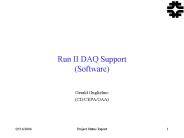 Run II DAQ Support (Software)