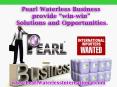 Pearl® Waterless International Wholesale and Private Label Manufacturers of Waterless Car Wash. PowerPoint PPT Presentation