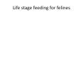 Life stage feeding for felines PowerPoint PPT Presentation