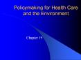 Policymaking for Health Care and the Environment PowerPoint PPT Presentation