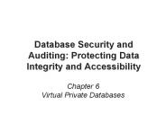 Database Security and Auditing: Protecting Data Integrity and Accessibility