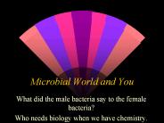 Microbial World and You