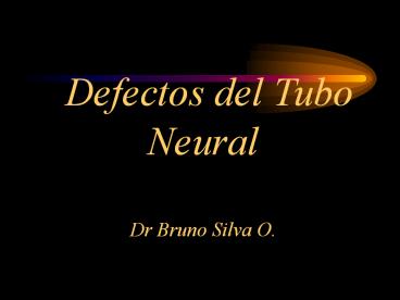 Defectos del Tubo Neural Dr Bruno Silva O.