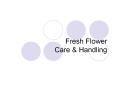Fresh%20Flower%20Care%20 PowerPoint PPT Presentation