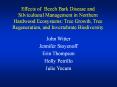 Effects of Beech Bark Disease and Silvicultural Management in Northern Hardwood Ecosystems: Tree Growth, Tree Regeneration, and Invertebrate Biodiversity PowerPoint PPT Presentation