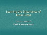 Learning the Importance of Grain Crops
