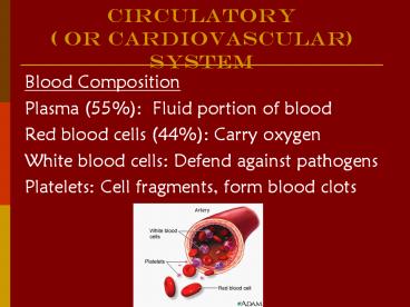 Circulatory ( or cArdiovascular) System
