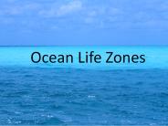 Ocean Life Zones