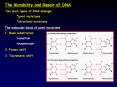 The Mutability and Repair of DNA PowerPoint PPT Presentation