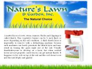 Problems with Thatch and Its Solution