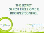 Pest control in Mumbai