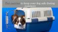 Pet carrier to keep your dog safe during summers PowerPoint PPT Presentation