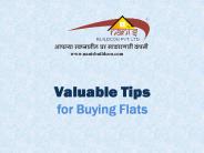 Valuable Tips for Buying Flats (2)