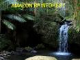 AMAZONIAN RAINFOREST PowerPoint PPT Presentation