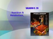 SALADIN C. 26