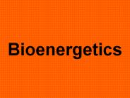 Bioenergetics