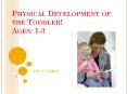 Physical Development of the Toddler! Ages: 1-3 PowerPoint PPT Presentation