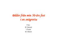 Bilder fr