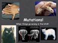 Mutations! PowerPoint PPT Presentation