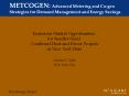 METCOGEN: Advanced Metering and Co-gen Strategies for Demand Management and Energy Savings PowerPoint PPT Presentation